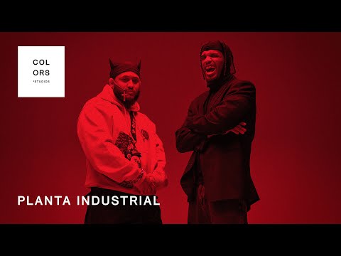 Planta Industrial – Anormales | A COLORS ENCORE